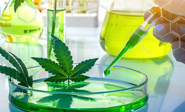 know about medical cannabis