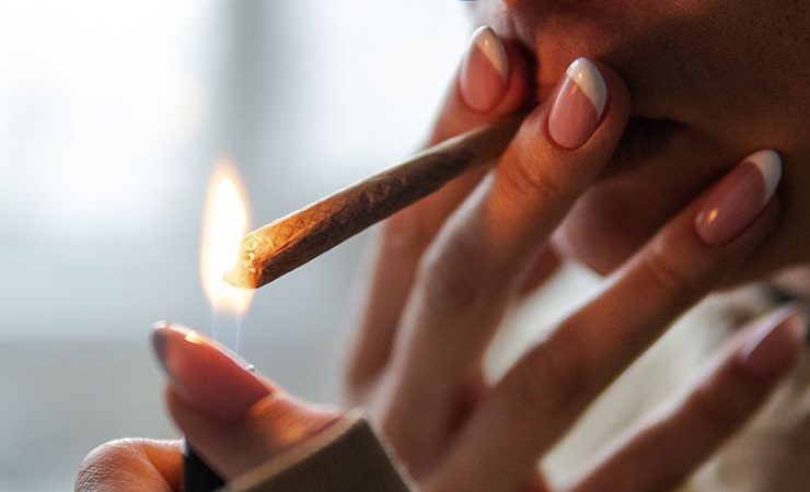 cannabis facts and effects